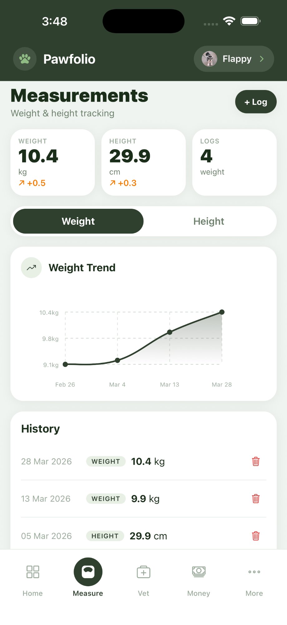 Measurements screen