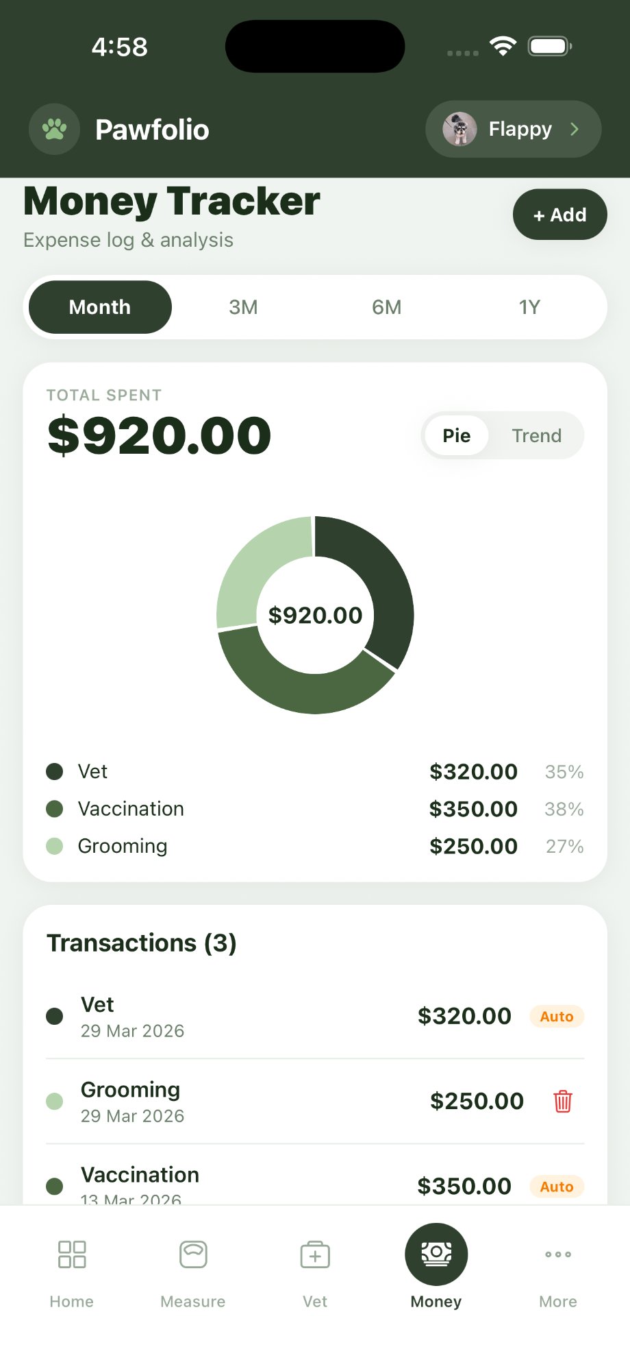 Money tracker screen